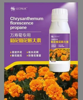 膨大剂养花 膨大剂养花