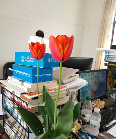 养花就养送人 养花就养送人