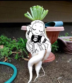 养花搞笑合集 养花搞笑合集