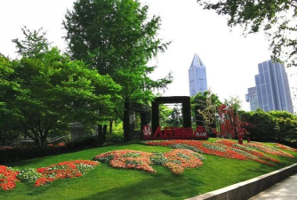 五一摆什么花卉 五一摆什么花卉