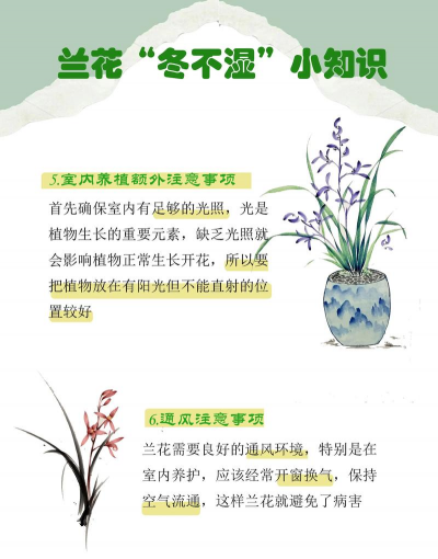 兰花上完盆后注意什么 兰花上完盆后注意什么