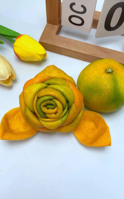 家里养花橘子皮 家里养花橘子皮