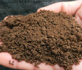 蚯蚓粪养花测试 蚯蚓粪养花测试