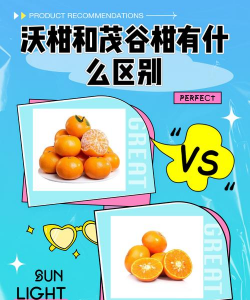 沃柑和茂谷柑怎么辨别 沃柑和茂谷柑怎么辨别