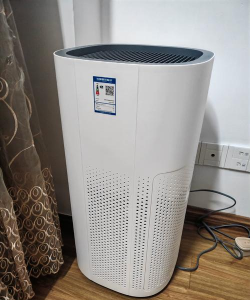 净化空气物质有哪些 净化空气物质有哪些