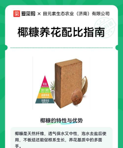 椰糠养花死了 椰糠养花死了