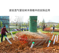 新栽树木如何铺透气管 新栽树木如何铺透气管