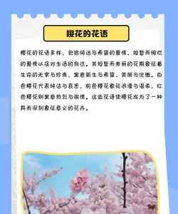 日本花语是什么 日本花语是什么