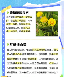 仙人掌怎么补充水 仙人掌怎么补充水