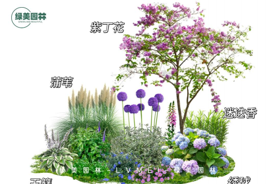 院子养花品种选择 院子养花品种选择