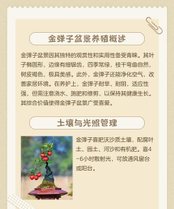 请教金弹子盆景怎么养护 请教金弹子盆景怎么养护