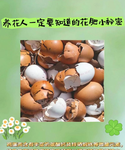 快速制肥料养花 快速制肥料养花