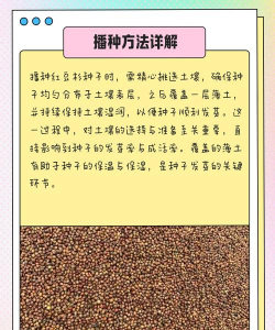 红豆杉的培育方法 红豆杉的培育方法