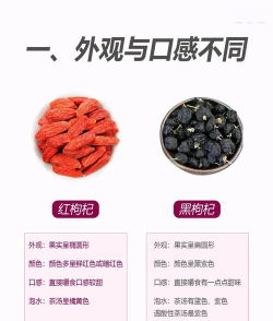 枸杞的作用和功能 枸杞的作用和功能