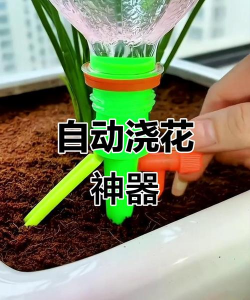 家庭滴灌养花技术 家庭滴灌养花技术