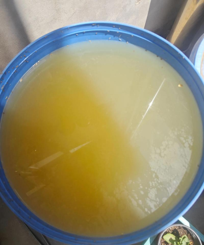 发酵菠萝皮养花 发酵菠萝皮养花