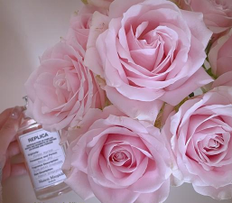 懒人养花鲜切 懒人养花鲜切