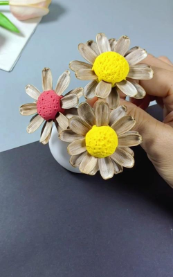 巧用瓜子皮养花 巧用瓜子皮养花