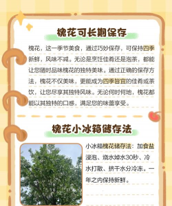怎么保存花期 怎么保存花期