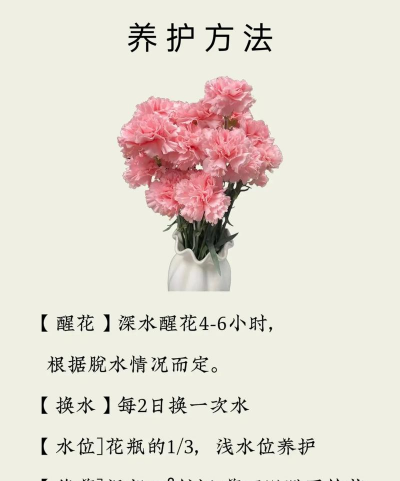 妈妈教会我养花 妈妈教会我养花