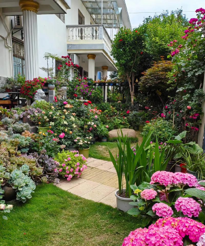 农村庭院怎么养花 农村庭院怎么养花