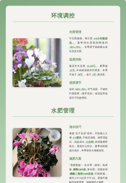 仙客来的虫害及防治 仙客来的虫害及防治