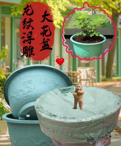 养花搞笑花盆名字 养花搞笑花盆名字