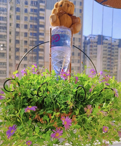 怎么自制养花喷雾 怎么自制养花喷雾