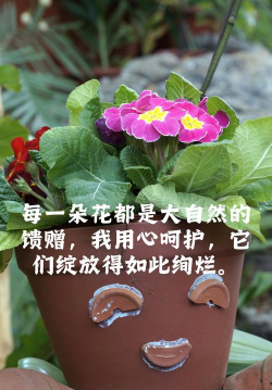 个性懒人养花说说 个性懒人养花说说