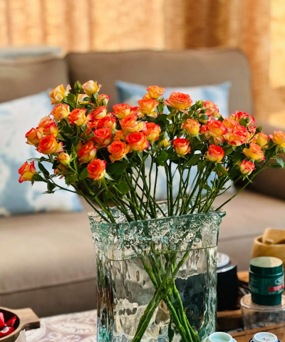 多头玫瑰家庭养花 多头玫瑰家庭养花