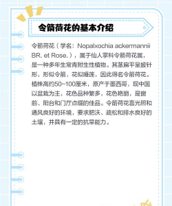 令箭荷花四季管理的技术要点 令箭荷花四季管理的技术要点