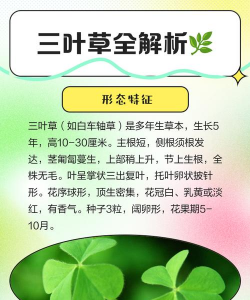 三叶草菌核病防治方法 三叶草菌核病防治方法