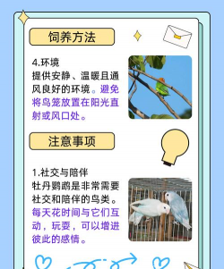 养花鸟怎么养 养花鸟怎么养