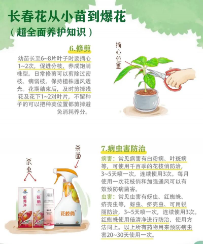 养花小知识摘要 养花小知识摘要