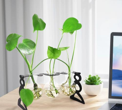水养花瓶支架 水养花瓶支架
