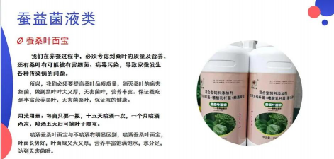 怎么样防治桑树主要虫害 怎么样防治桑树主要虫害