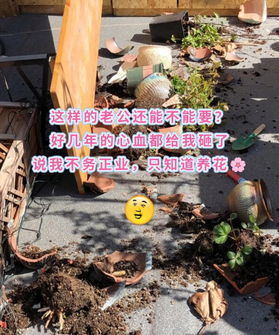 养花老公搞笑句子 养花老公搞笑句子