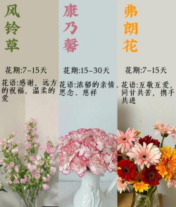 懒人养花必备清单 懒人养花必备清单