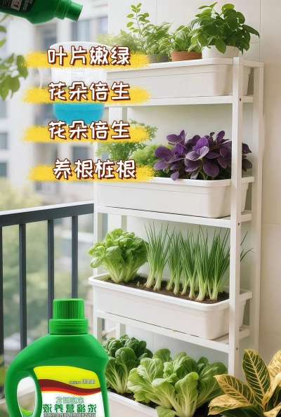 营养主活爱养花 营养主活爱养花