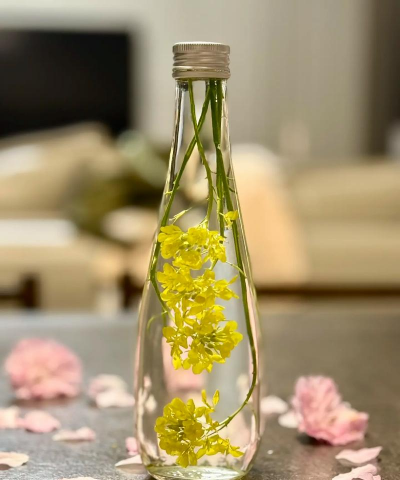 用小瓶子养花好吗 用小瓶子养花好吗