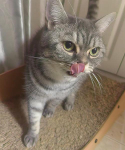 小希家庭养花课 小希家庭养花课