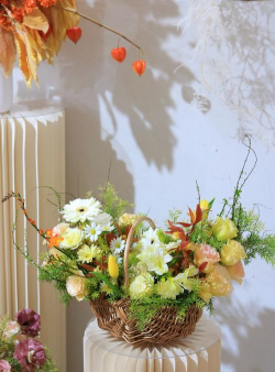 爱美的花姑娘养花 爱美的花姑娘养花