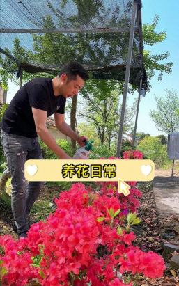 爱养花的泽宇 爱养花的泽宇