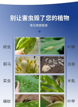 养花杀虫药物配比 养花杀虫药物配比