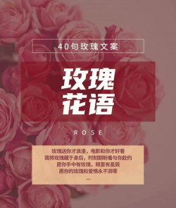 养花的爱情文案句子 养花的爱情文案句子