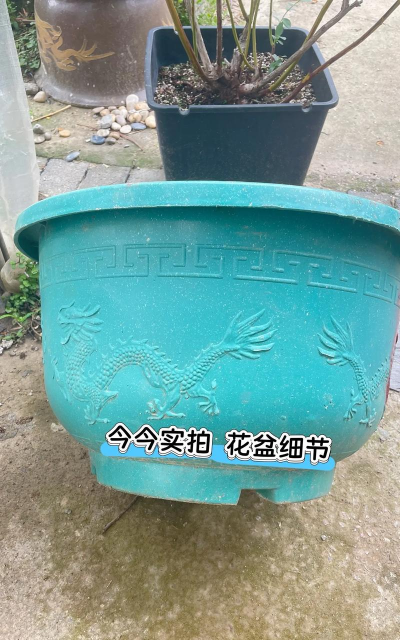 塑料养花大花盆好吗 塑料养花大花盆好吗