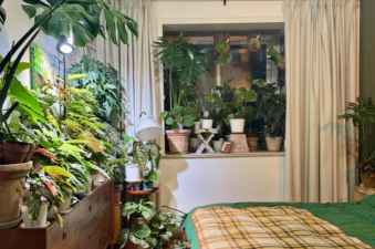 卧室养花多屋里潮湿 卧室养花多屋里潮湿