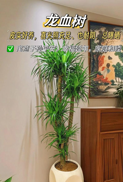 门口绿植树养花好吗 门口绿植树养花好吗