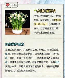 怎么培育养花土 怎么培育养花土