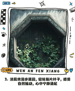 夫妻种菜养花文案短句 夫妻种菜养花文案短句